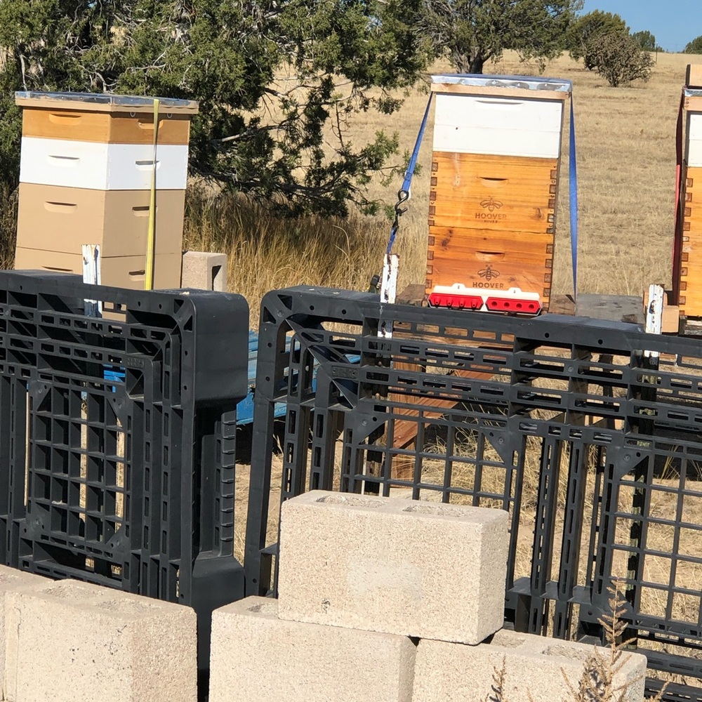 Hand Crafted Beeswax Body balm - Picture 5 of 11